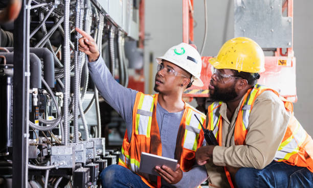 Best Affordable Electrician  in Schoolcraft, MI